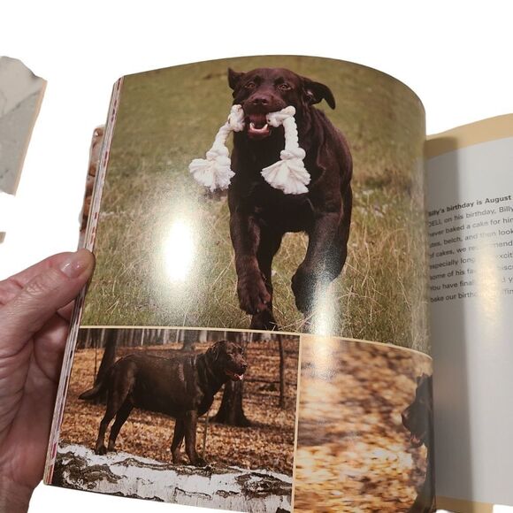 Cooking For Dogs New Recipes From Dog's Deli Softbound NWT - Picture 5 of 12